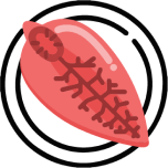 Antiparasit